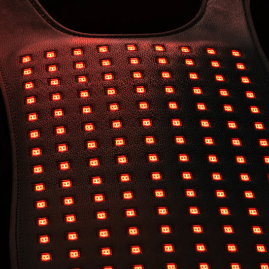 Pawossi Lumis Pro - Red Light Therapy For Dogs