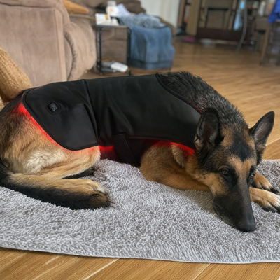 Pawossi Lumis Pro - Red Light Therapy For Dogs