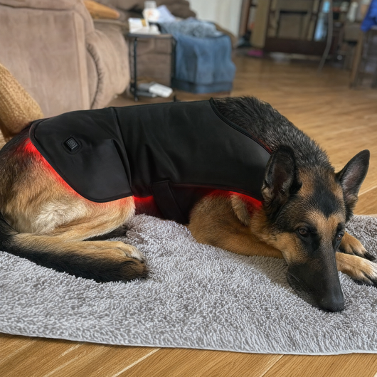 Pawossi Lumis Pro - Red Light Therapy For Dogs